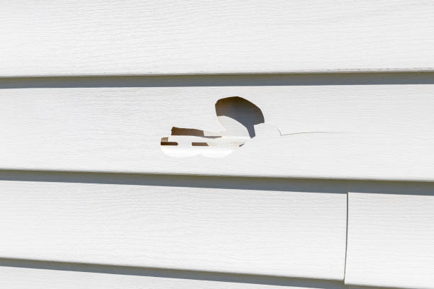 Demolition Debris Removal in North Rock Springs, WY
